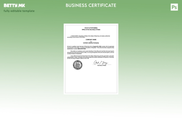 модерен стил САД Вајоминг сертификат за регистрација Шаблон Word и PDF, шаблон з